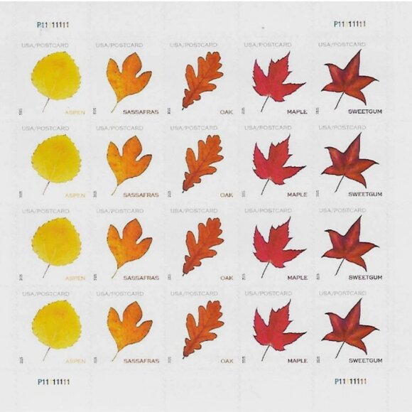 2025 USA Postcard Forever Rate Vibrant Leaves - 1000 Stamp - Picture 2 of 4